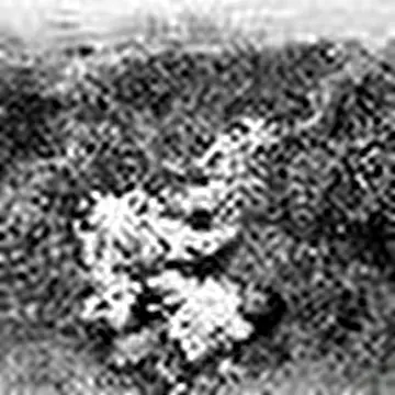 LINE OF DEAD