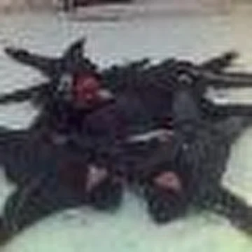 Ангелы Отчаяния