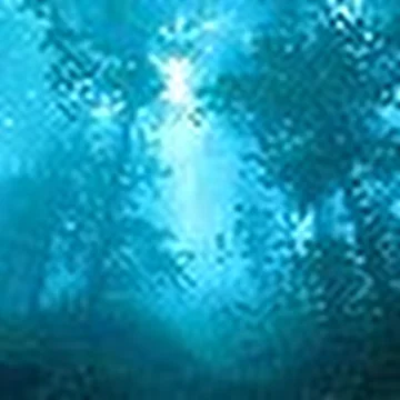 Berkana06