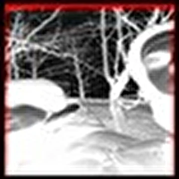 fmcf - da privideniYZ