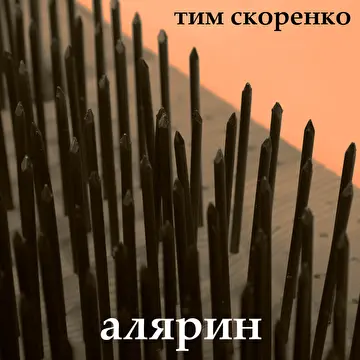 Скоренко Тим