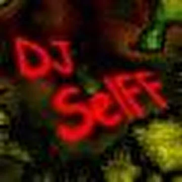 DJ SelFF