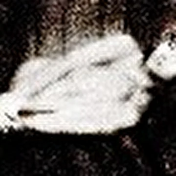 Berkana06