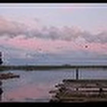 Александр Манойло