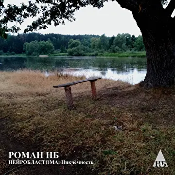 Роман НБ