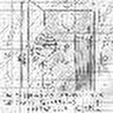 Cricket_Name