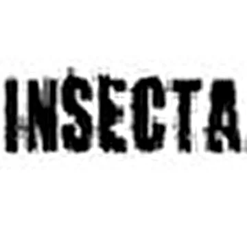 Insecta