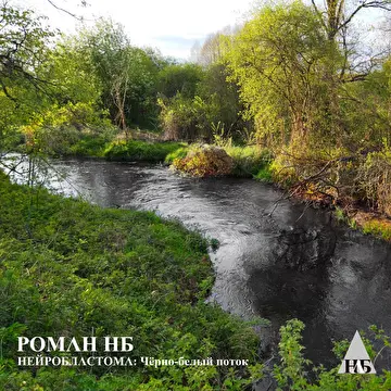 Роман НБ