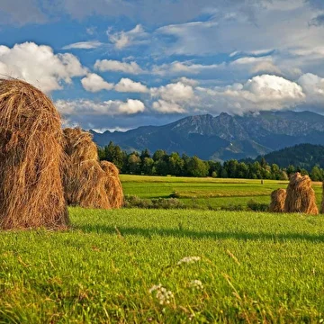 Александр Токарев