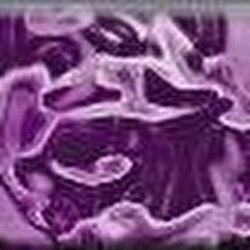 Neurogenetic