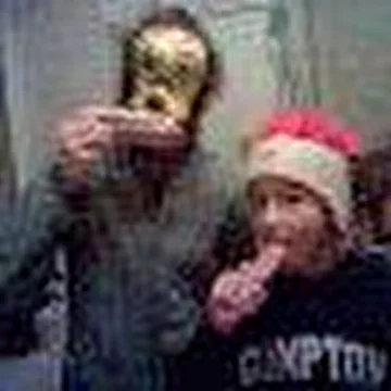 Альтернативный попугай