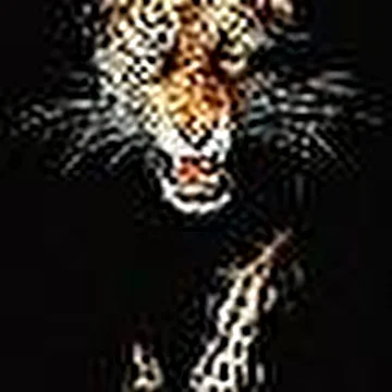 Lord_J