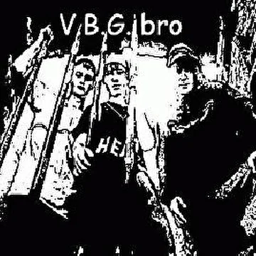 v.b.g. bro