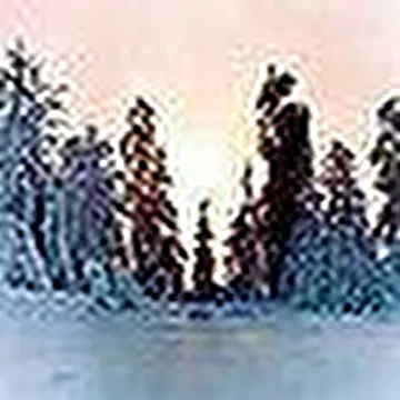 Protsifer