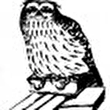 Кора-бэнд