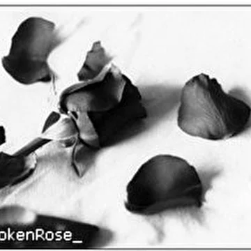 BrokenRose