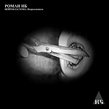 Роман НБ