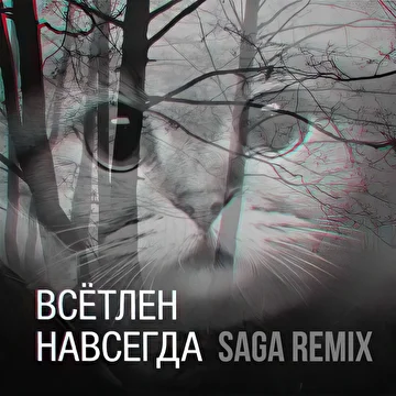 SAGA Remixes