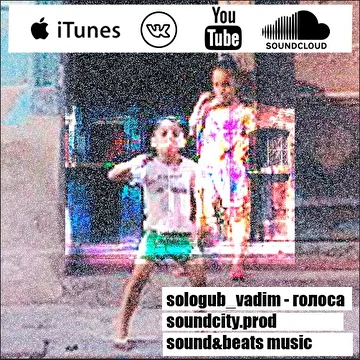 sologub_vadim