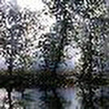 Борис Зуев