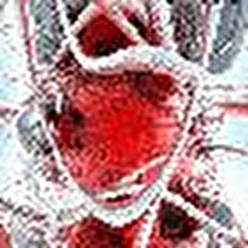 Cadaveric_infection