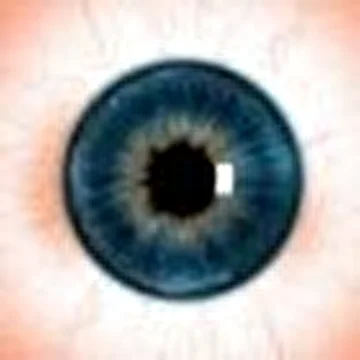 К.Psy.Д.Prod.