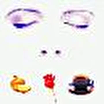 SirOp