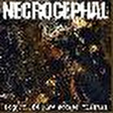 NECROCEPHAL