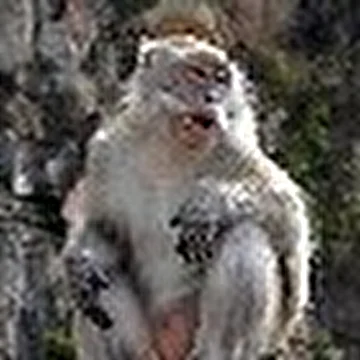 Ананьев Владимир