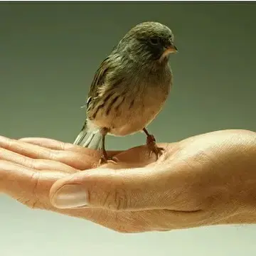 Михаил Левин