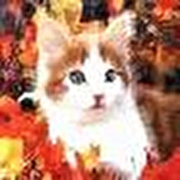 Wet Fire