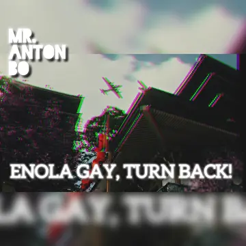 Mr. Anton Bo