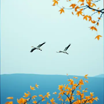 Алина Белочка