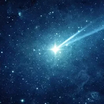 Михаил Левин