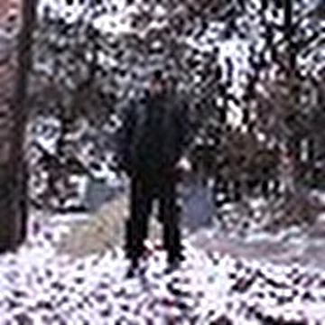 Южный Бронкс
