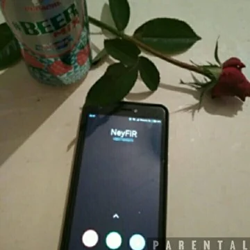 NeyFiR