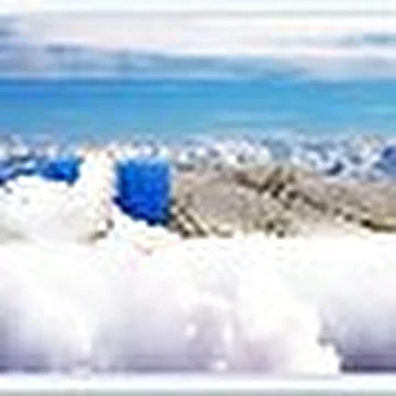 Александр Манойло