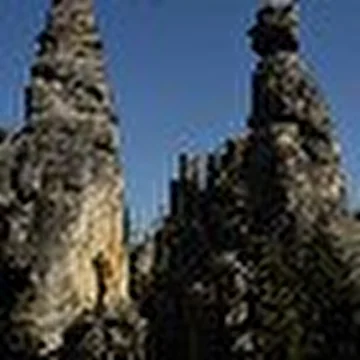 Александр Манойло