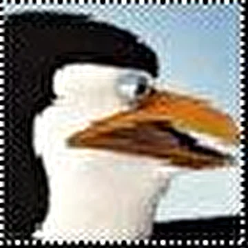 S.H.B