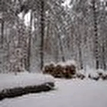 Б. Береговой