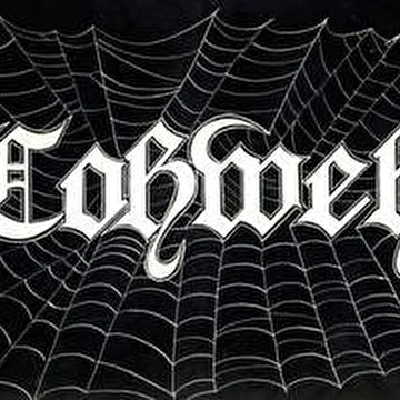 Cobweb