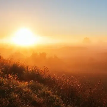 Жизнь
