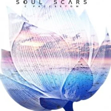 Soul Scars