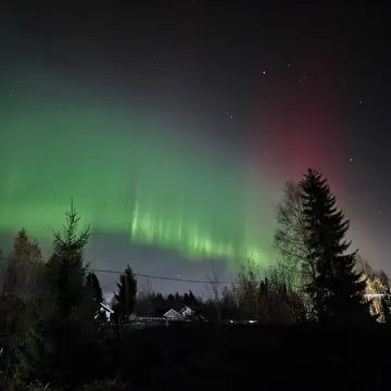 Игорь Френкель