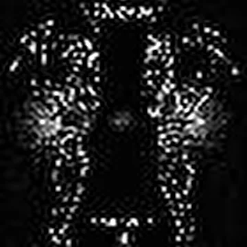 The Cursed Hellion
