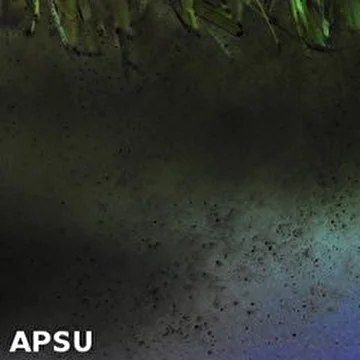 APSU