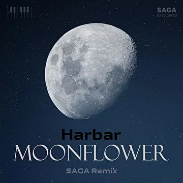 SAGA Remixes