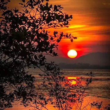 Людмила  Кичигина _  Ангел - Online. (Музыкальная группа..)⭐⭐⭐⭐⭐