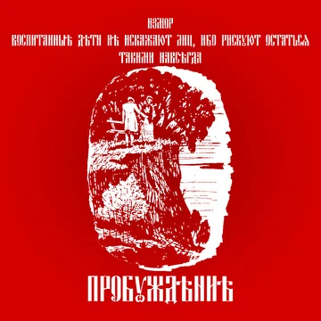 Грипсы a.k.a чипсы