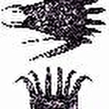 Hyperborea